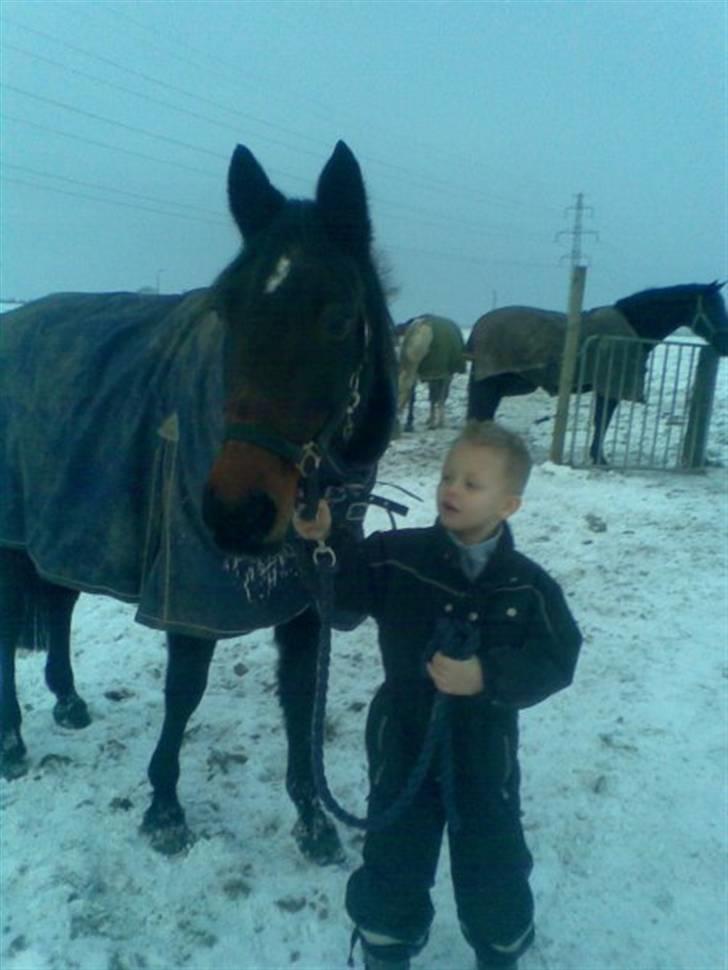 Traver sissel win billede 10