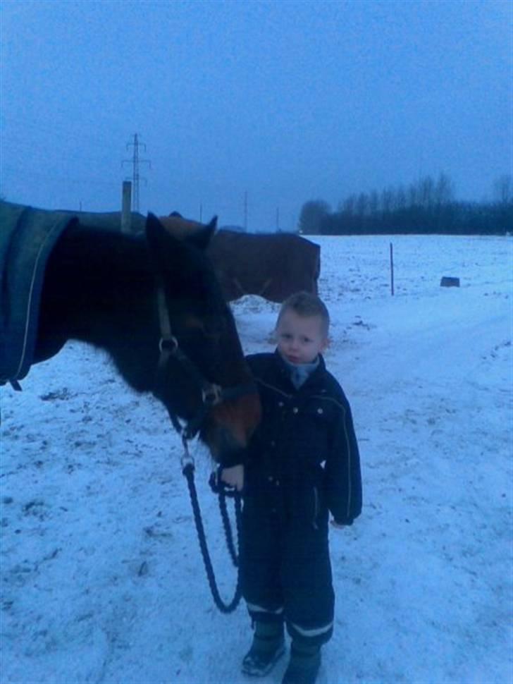 Traver sissel win billede 11