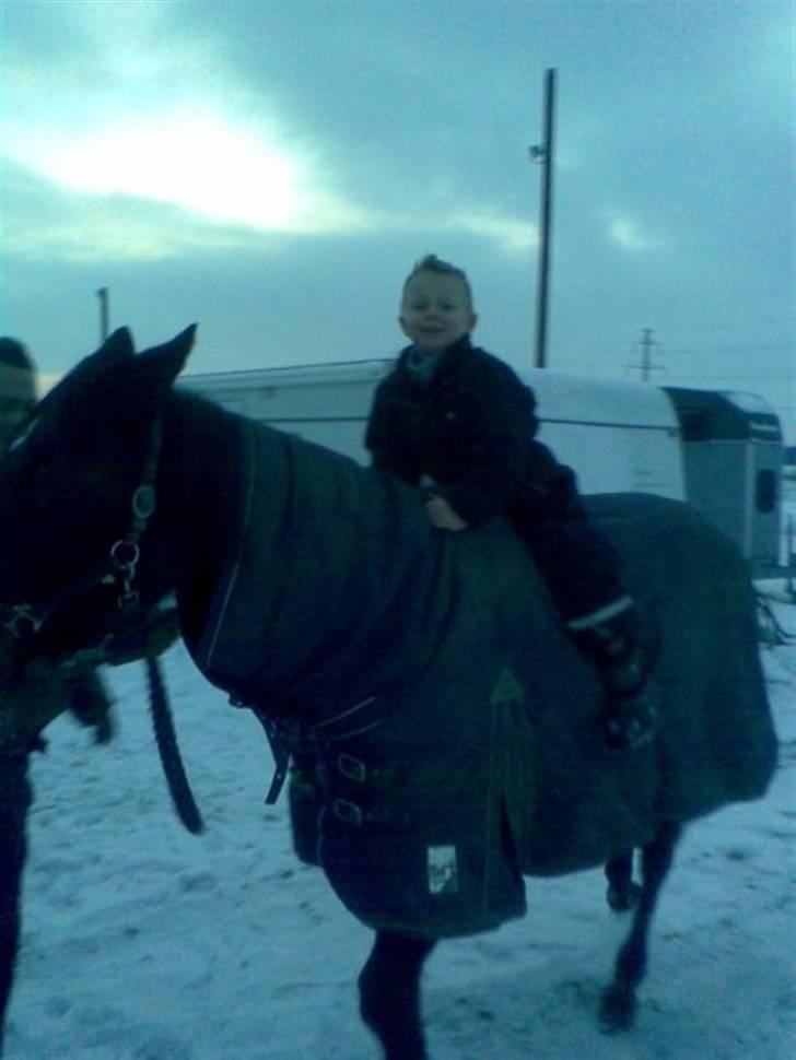 Traver sissel win billede 12