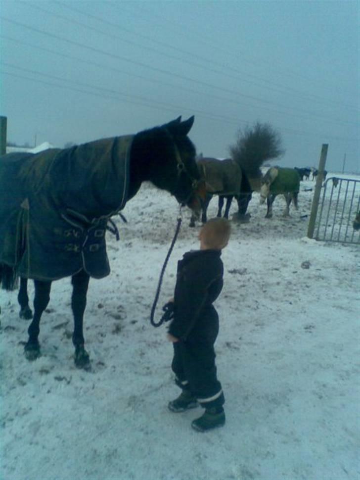 Traver sissel win billede 13