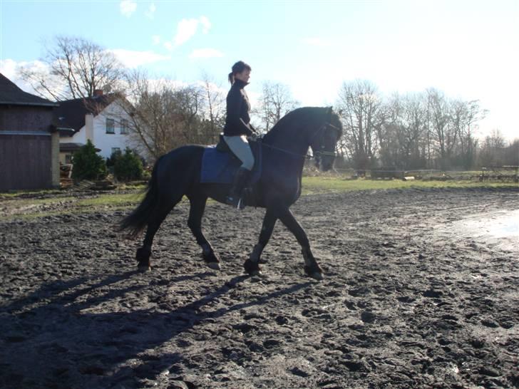 Frieser onno billede 3