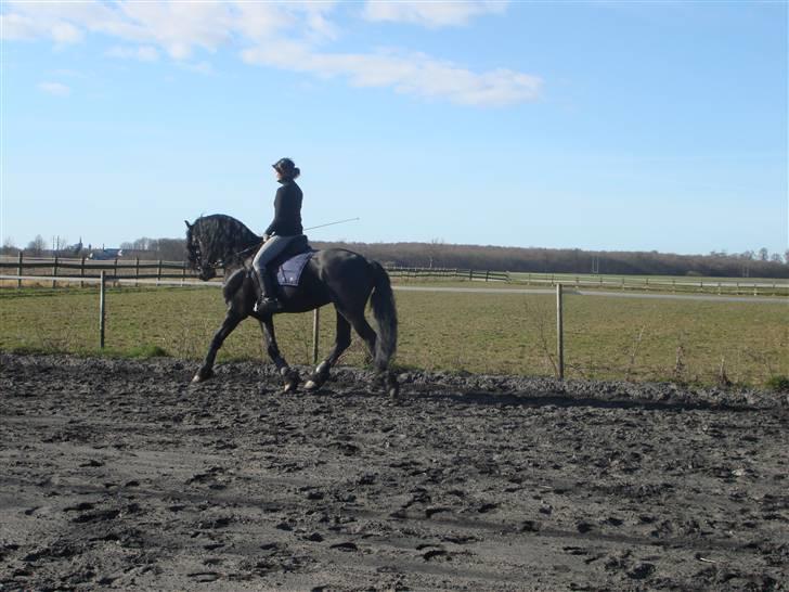 Frieser onno billede 6