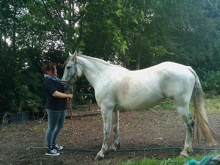 Anden særlig race Savannah R.I.P - Savanna når hun står underligt ? ;D  billede 12