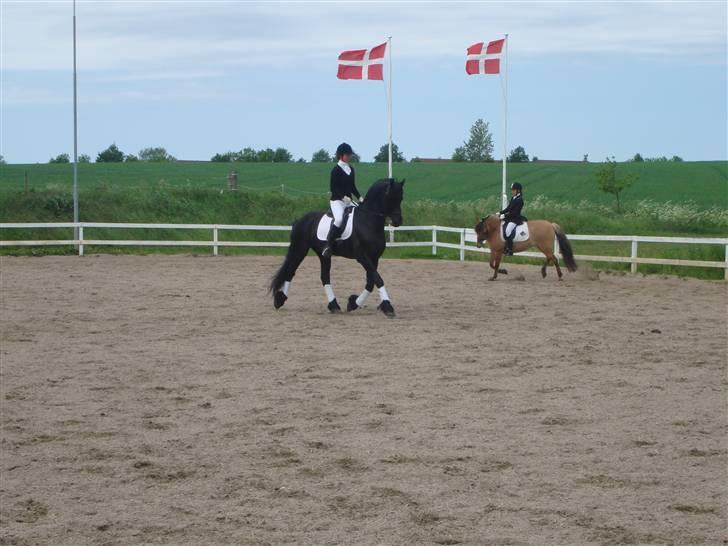 Frieser onno billede 12