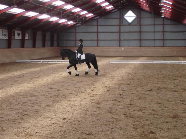 Frieser onno billede 16