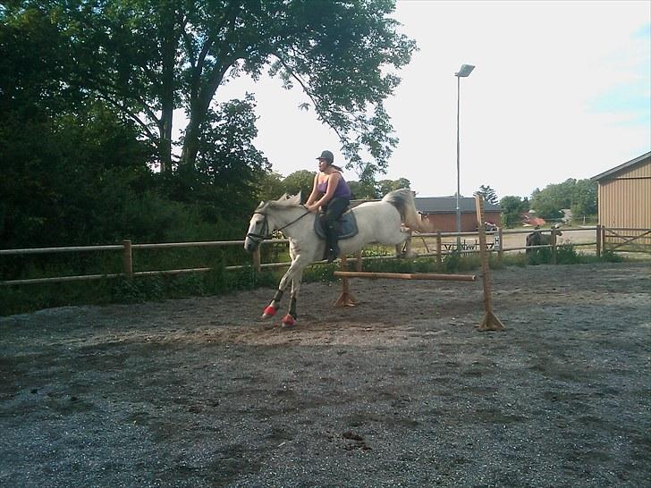 Anden særlig race Savannah R.I.P - Jump baby <3  vi er ikke så fotogene når vi springer ? ;D  billede 16