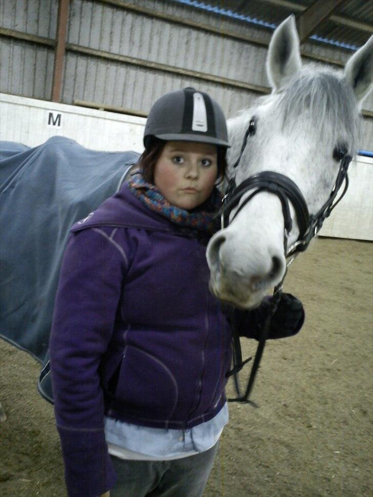 Anden særlig race Savannah R.I.P billede 1