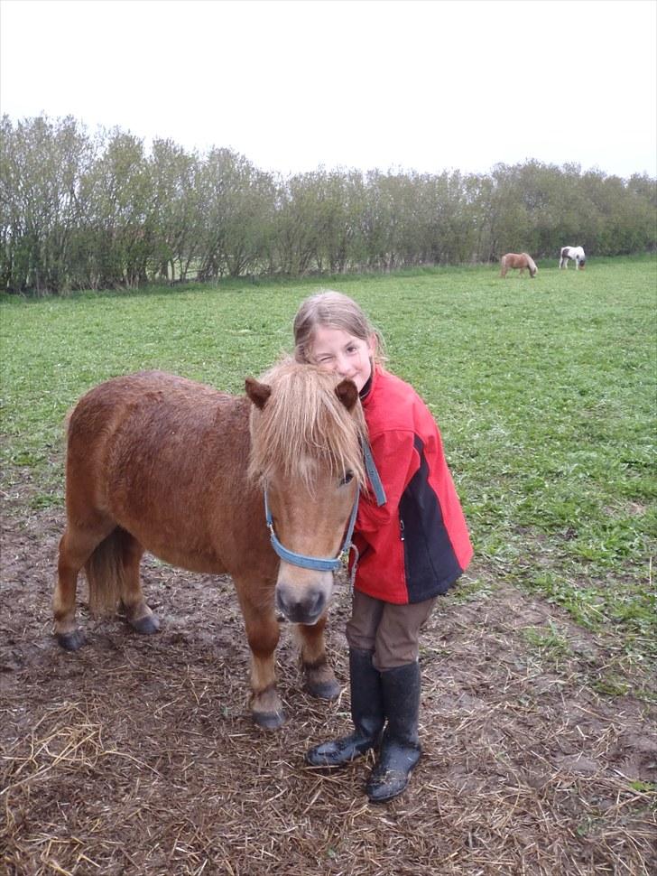 Anden særlig race Bølle Bob  <3 - bølle bob jeg elsker dig <3 billede 4