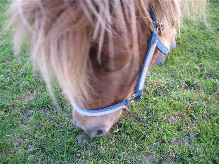 Anden særlig race Bølle Bob  <3 - og en lækker mad glad dreng <3 med en lidt hippe man..<3;D billede 5