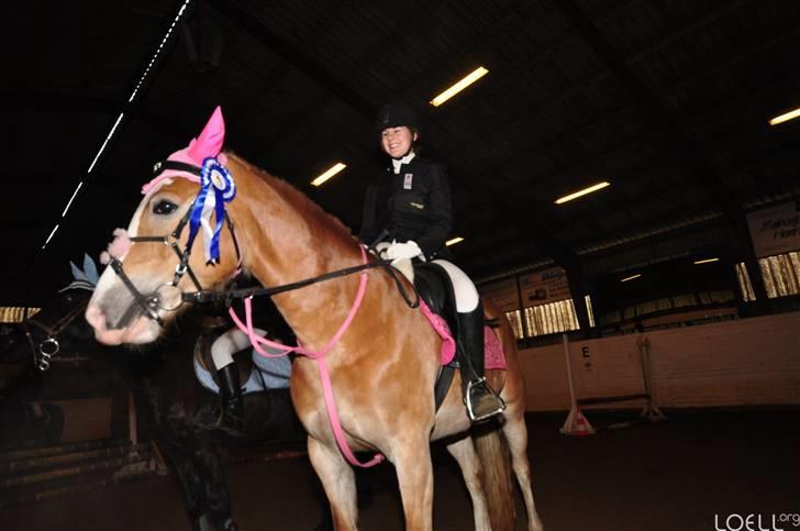 Palomino Tara- Solgt:(<3 - Ld.... i ugger:D Foto: Simon  billede 13