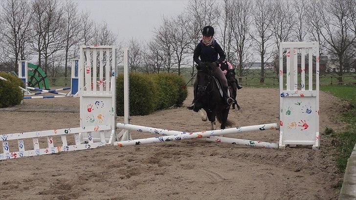 Anden særlig race Cirkeline *Tricks ponyen* - mig & Cirkeline til springundervisning i april(: billede 15