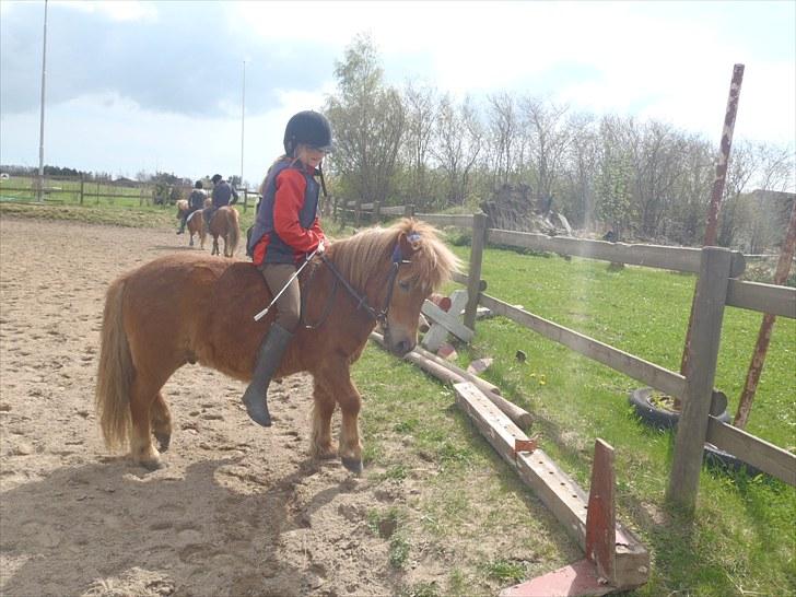 Anden særlig race Bølle Bob  <3 - heh he...;P bølle bob det græs skal du ikke spise<3  billede 6