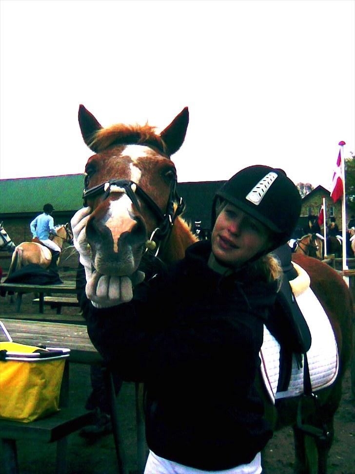 Anden særlig race Steffengårdens Nanny - //7 Ponygames stævne 15. maj. Skøøøøøøønne! billede 7