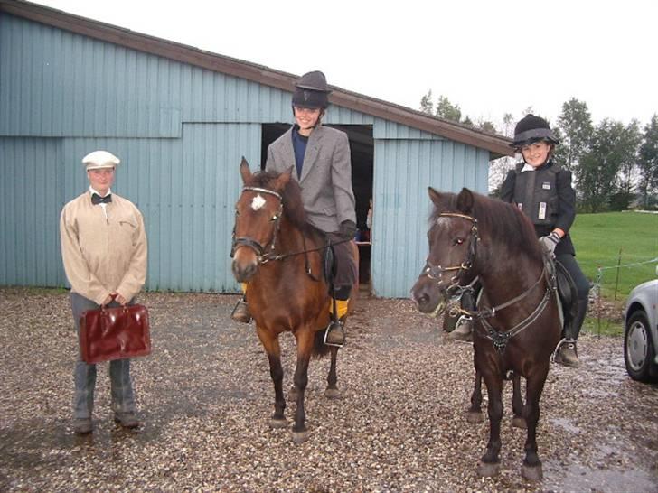 Anden særlig race Tulle (fundet igen)  - Opvisning til Åbenhus (Foto mor) billede 13