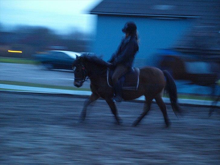 Anden særlig race Tulle (fundet igen)  - Oppe og ride efter forsvindningen præcist efter 5 måneder(: billede 16