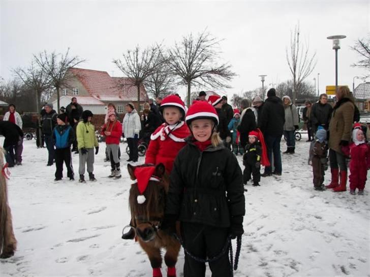 Shetlænder Prins (lillesøsters) - Lillesøster på Prins og jeg trækker til juleoptog i Tårs den 20 dec. 09 :) <3 billede 15
