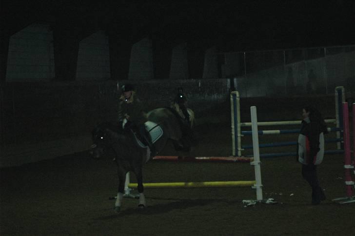 New Forest Sandie Ladager  billede 18