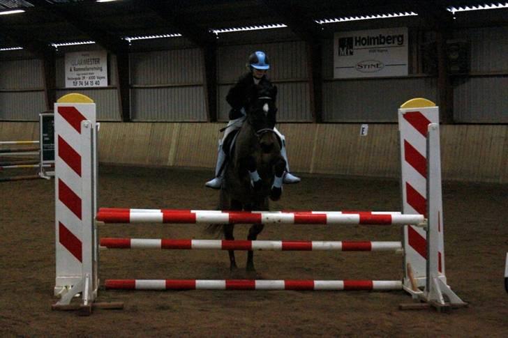 DSP Jason - LB Hammelev Fotograf: Anne Krogh billede 12