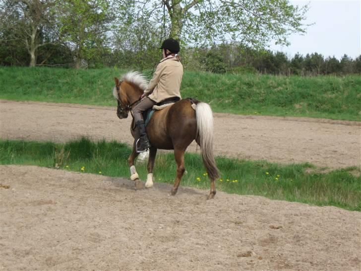 Anden særlig race Jamaica <3(gammel part)<3 - spring opvarmning billede 12