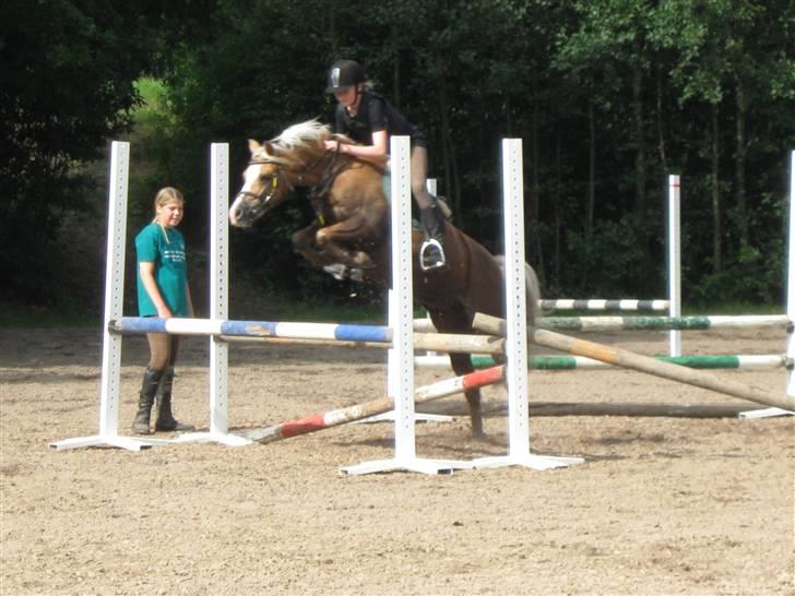 Anden særlig race Jamaica <3(gammel part)<3 - spring på jamaica billede 14