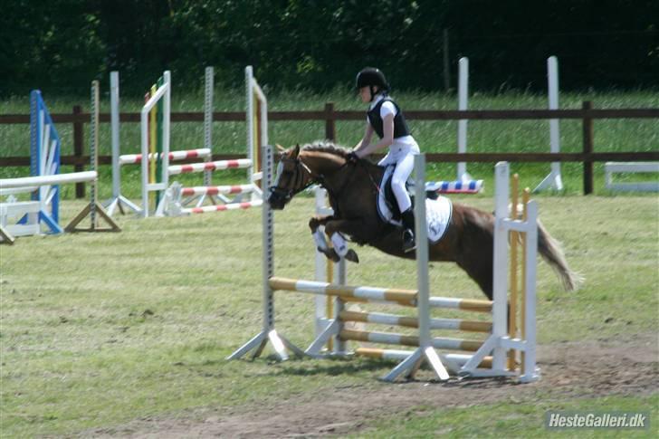 Anden særlig race Jamaica <3(gammel part)<3 - spring i vasehus LB billede 16