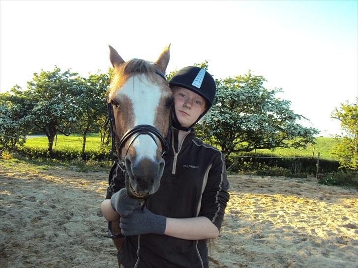 Anden særlig race Verdi - han er så sød... billede 13