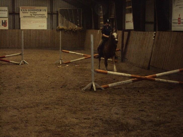 Anden særlig race Verdi - vi springer, han elsker det:-) desværre lidt utydelige billeder! billede 18