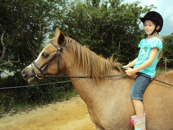 Anden særlig race Verdi - min lillesøsters bedste veninde rider uden sadel:-P billede 20