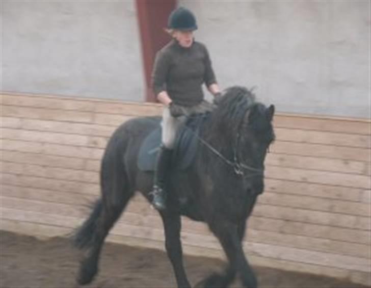 Frieser Romeo billede 8