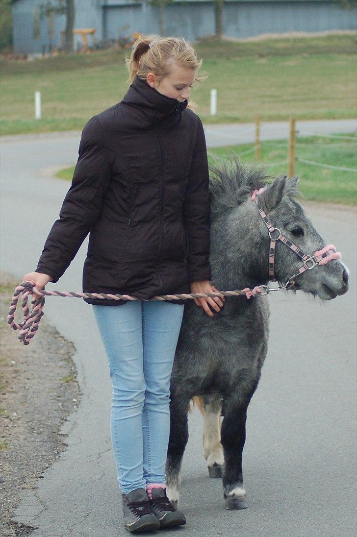 Miniature Unieke Whitey - 4] "Let me go home. I´ve had my run, baby Im done, Im gonna come home." Home - Westlife | 15.10.2010 billede 4