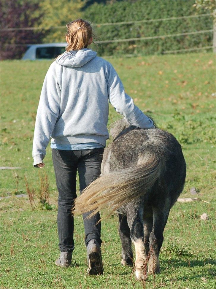 Miniature Unieke Whitey - • Jeg valgte at starte en vej. En vej sammen med dig. Nu håber jeg bare jeg kan afslutte vejen sammen med dig.<3 billede 5