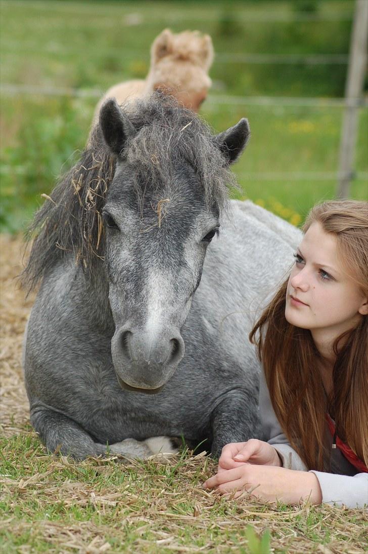 Miniature Unieke Whitey - 6] "I saw the light. At the end of a tunnel." The world´s greatest - R Kelly | 26.6.2010 billede 6