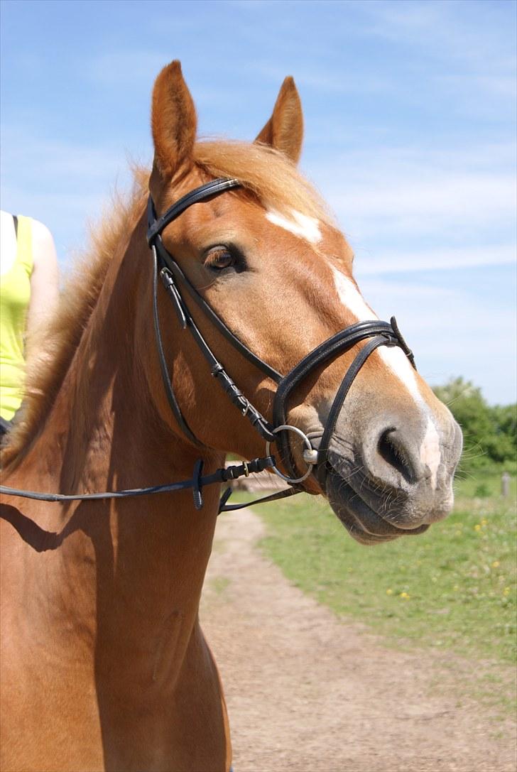 Anden særlig race Kenzo<3 Min skat<3 - If you love something let it go; if it was meant to be, they'll come back but if he doesnt, it never was.
Foto: LINE d; billede 1