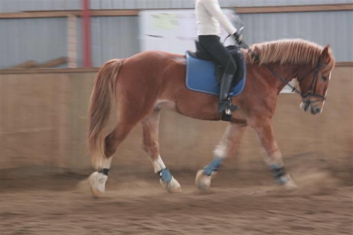 Anden særlig race Kenzo<3 Min skat<3 - It’s not so much that I am missing you,  it’s just I’m so lost without you<3 billede 6
