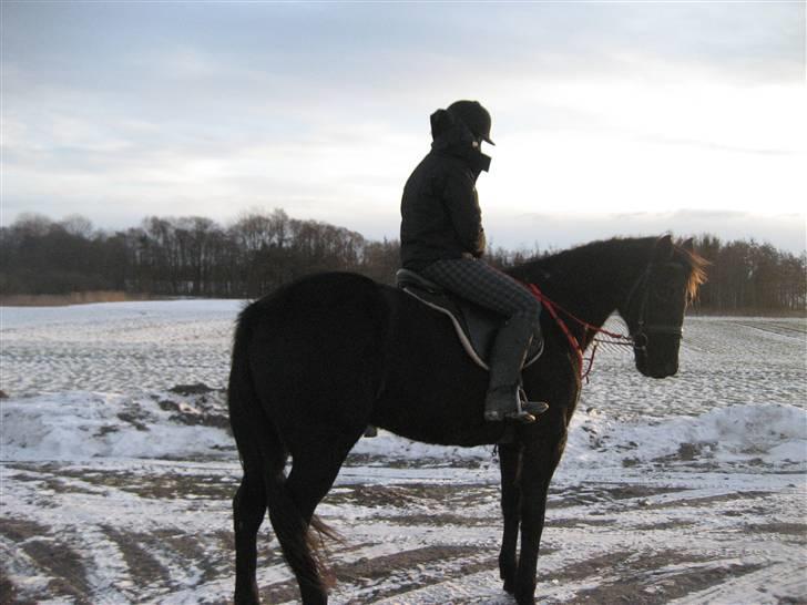 Traver zeb, R.I.P :'( ILY - billede , 14. på vej hjem (: . fotogarf far (: billede 14