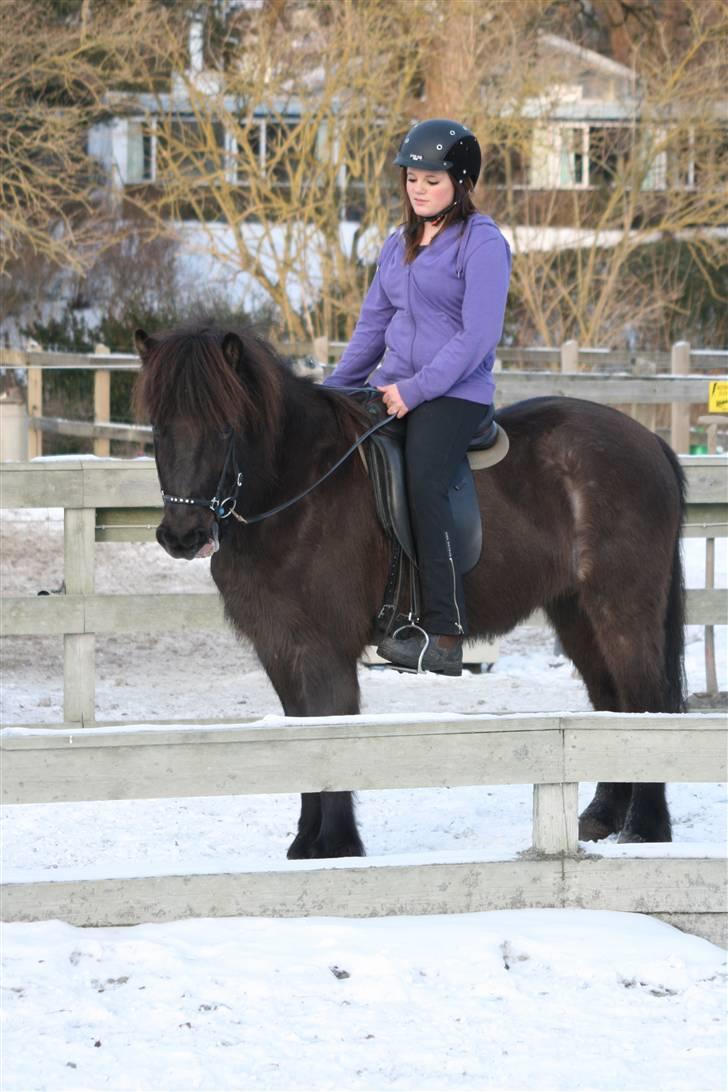 Islænder Josefina frá Vakurstödum  - Mig & josefina 1 ridetur på OD! billede 5