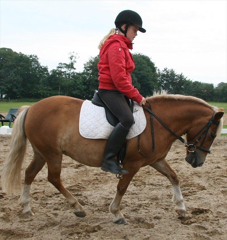 Anden særlig race Fie Gamle part:´) - velkommen til fie´s profil. <3 billed: Anja. billede 1