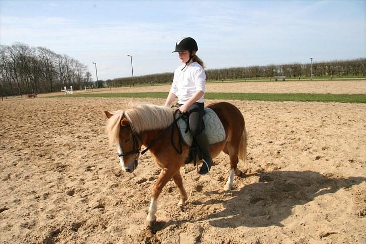 Anden særlig race Fie Gamle part:´) - billed: Kira. billede 4