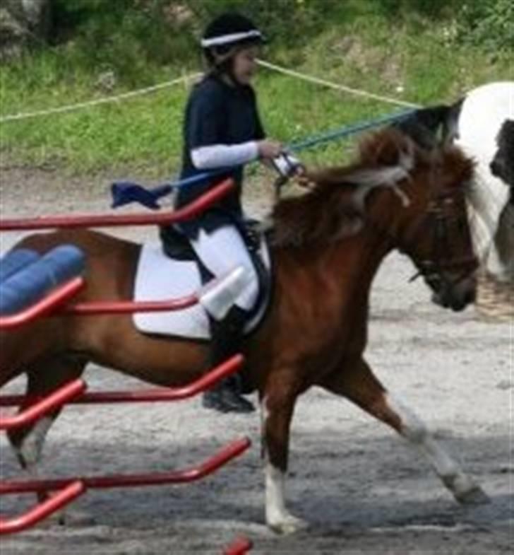 Pinto Jackpot <3 - Til ponygames stævne hos Egene billede 9
