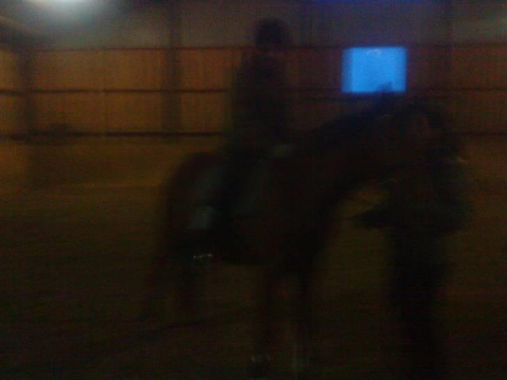 DSP Tofts Gambler - 1. gang med rytter på :P Hvad er det de har gang i?? :OO  ( Undskyld den dårlige kvalitet, men jeg synes lige det skal med) billede 3