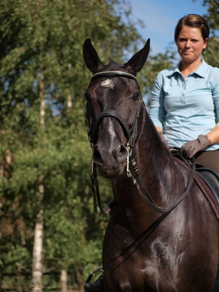 Oldenborg Frederiks Pronto billede 1