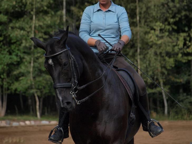 Oldenborg Frederiks Pronto - schenkelvigning billede 3