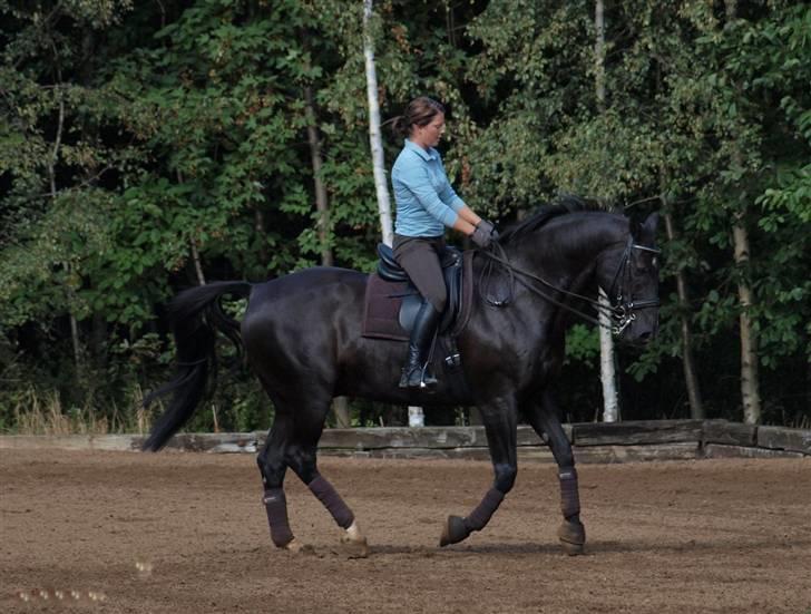 Oldenborg Frederiks Pronto - min røv ved ike hvor den hører til. billede 4