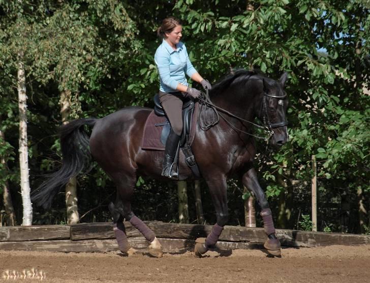 Oldenborg Frederiks Pronto billede 5