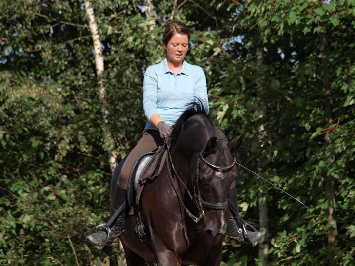 Oldenborg Frederiks Pronto - Se lige den hals. WOW billede 7