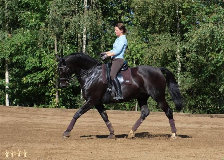 Oldenborg Frederiks Pronto - SUPER trav her. billede 8