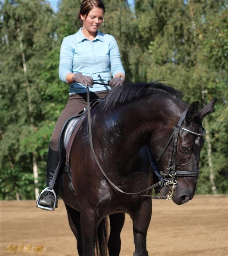 Oldenborg Frederiks Pronto - Afslapning billede 9