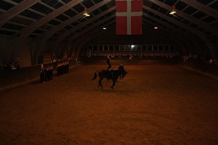 Anden særlig race Brøderups Brimer - Fotograf: Jacob Normann Larsen billede 8