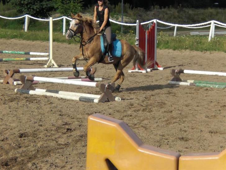 Anden særlig race Just Hugo Forever -part. - spring med eve. billede 5