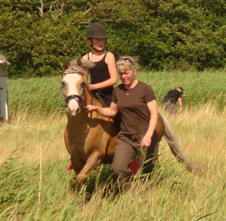 DSP Mariedals Mille Min dejlige ponze<3 - #12 på starnden med Mille og Vanessa. Camilla L&Mig billede 7